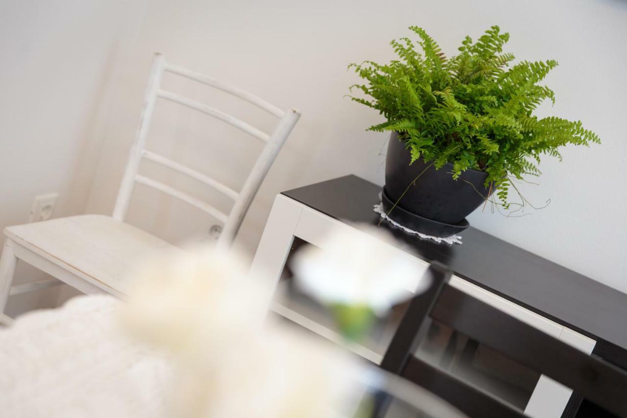 Apartments C52 Rovinj Zewnętrze zdjęcie