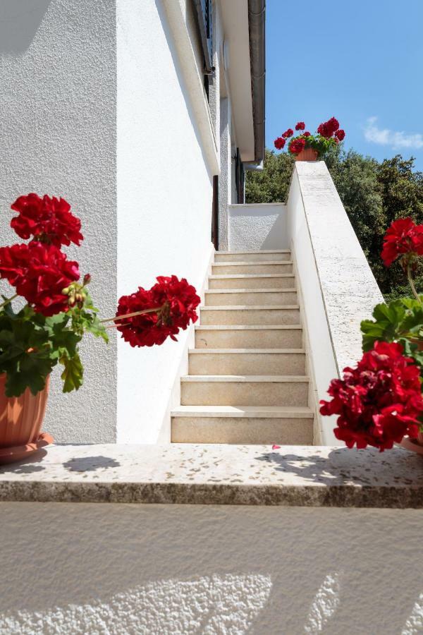 Apartments C52 Rovinj Zewnętrze zdjęcie