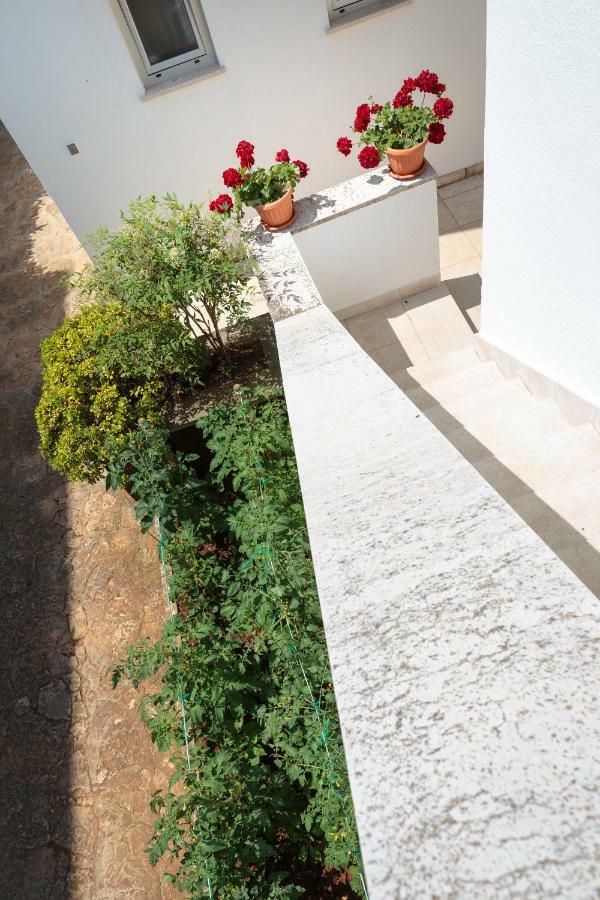 Apartments C52 Rovinj Zewnętrze zdjęcie